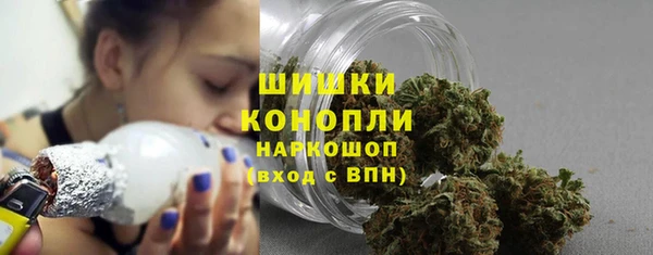 гашик Новодвинск