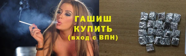 гашик Новодвинск