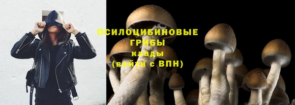 мескалин Новозыбков