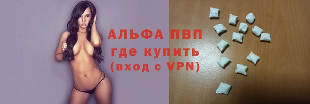 гашик Новодвинск
