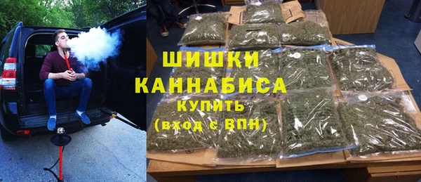 гашик Новодвинск