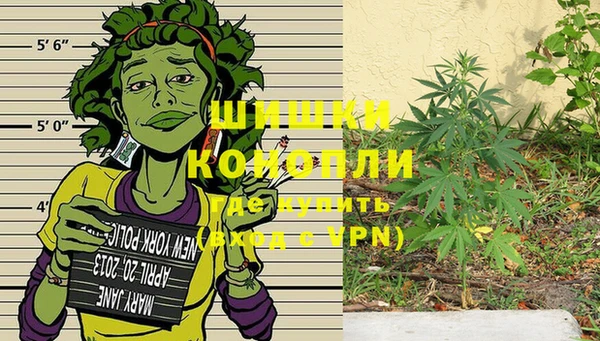 мескалин Новозыбков